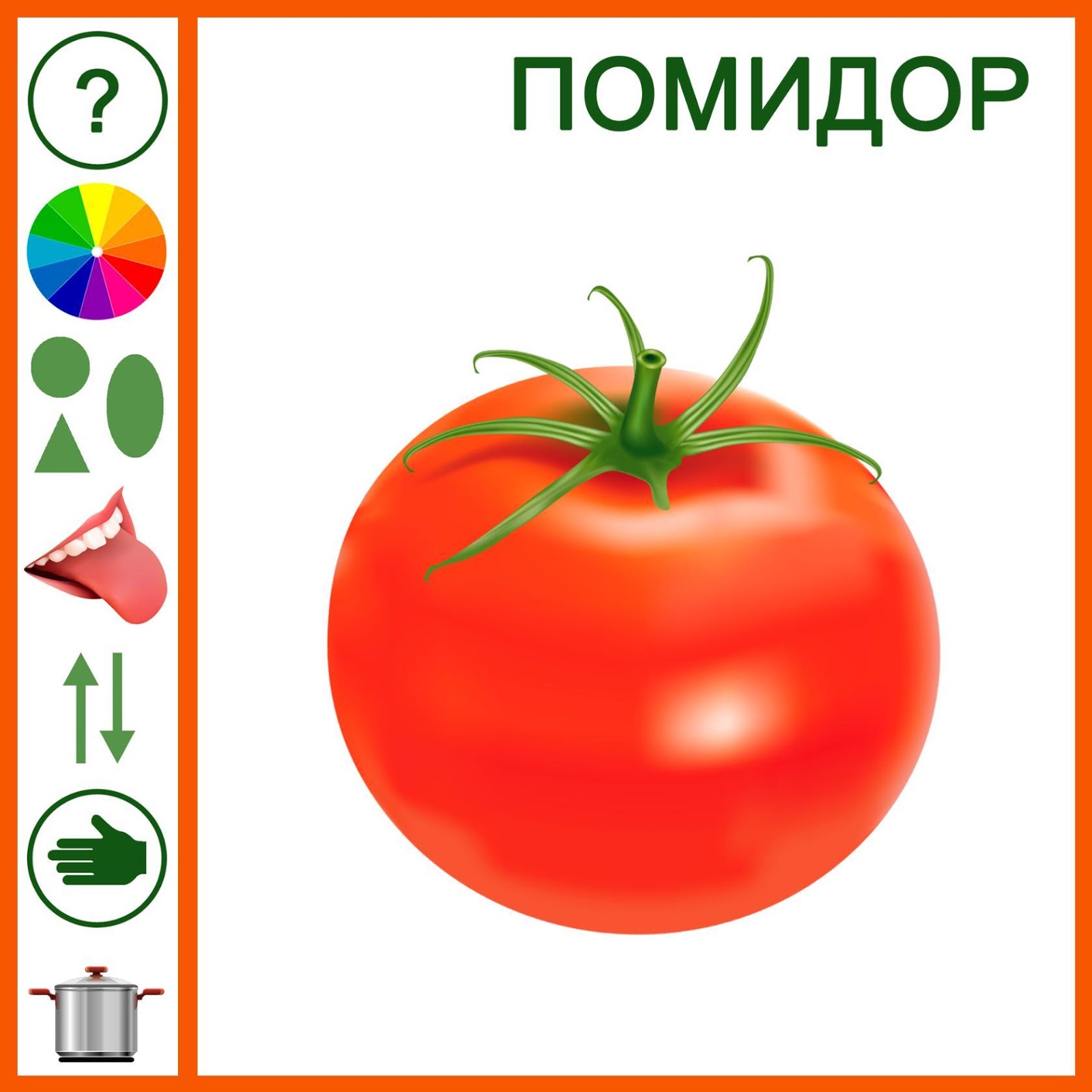 Описание овощей